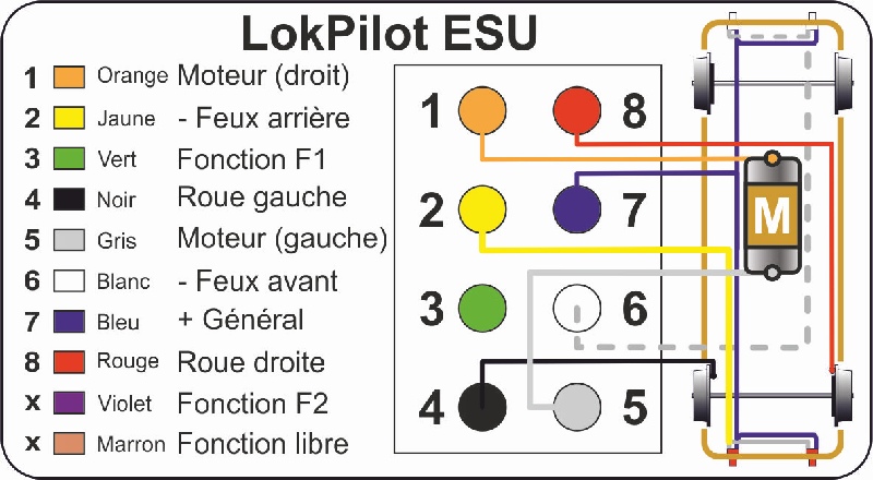 Câblage digital.jpg